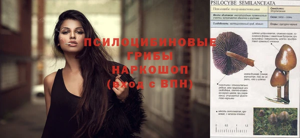 гидра Вязники