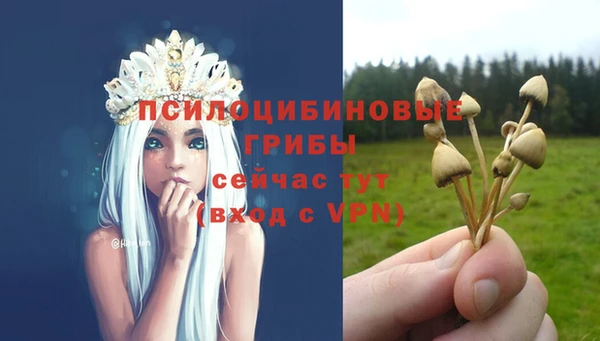 jwh Магас