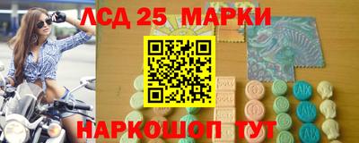 СК Гатчина