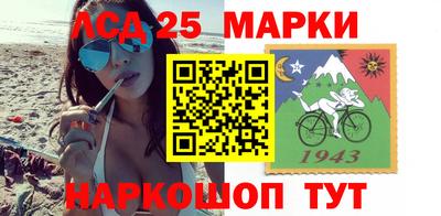СК Гатчина