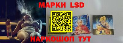СК Гатчина