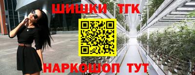 СК Гатчина