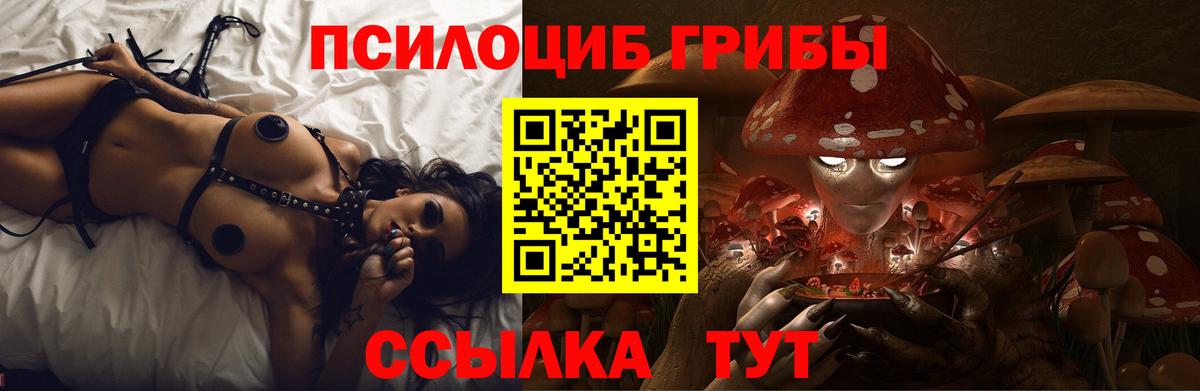 Галлюциногенные грибы Psilocybine cubensis Копейск