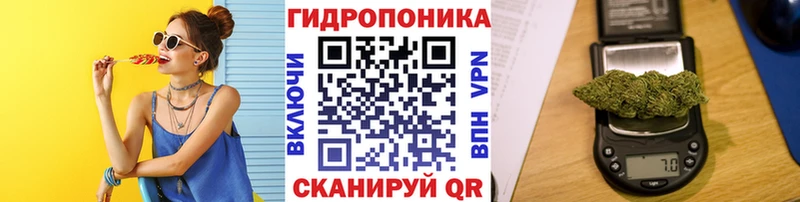 даркнет сайт  Копейск  МАРИХУАНА AK-47 